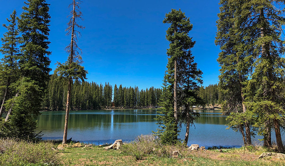 GrandMesaNationalForest-0142-WEB