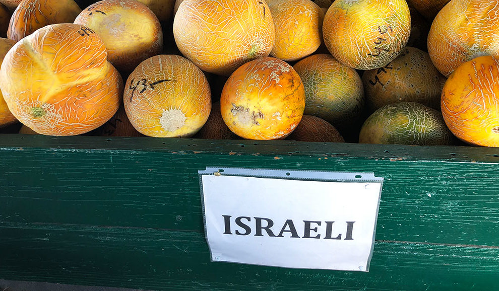 VetereMelons-1472-WEB