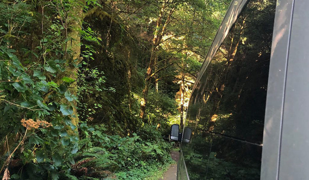 Cape-Perpetua-campsite-WEB