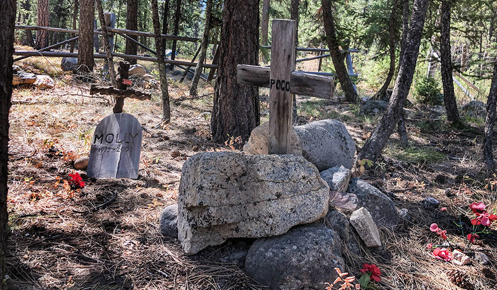 Pet-cemetery-5241-WEB
