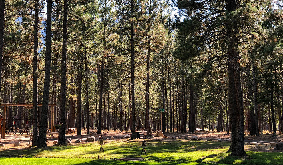 Yellow-Pine-2019-Slideshow-5332-WEB
