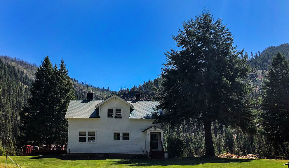 Yellow-Pine-2019-Slideshow-5470-WEB