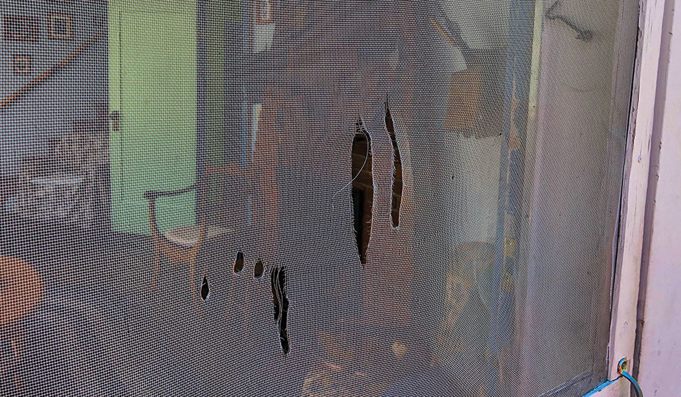 bear-claw-marks-2691-WEB