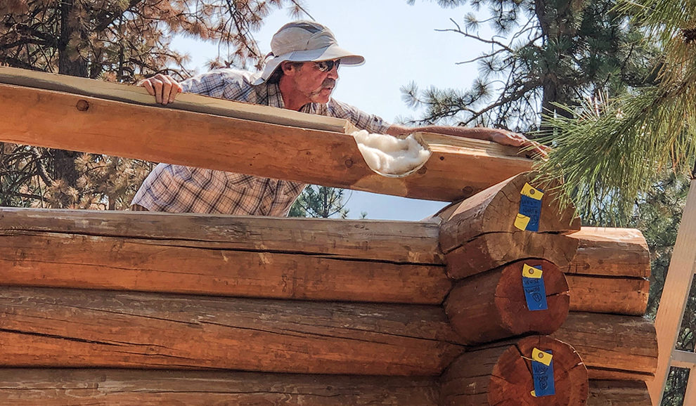 Log cabin-9811