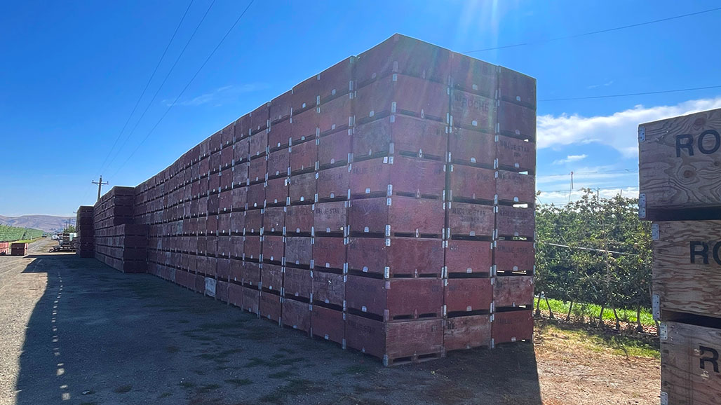 YakimaAppleBoxes